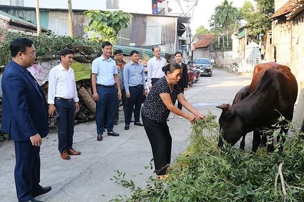 Ủy ban MTTQ Việt Nam huyện Chương Mỹ trao hỗ trợ mua bò giống sinh sản cho các hộ nghèo thuộc 4 xã trên địa bàn huyện