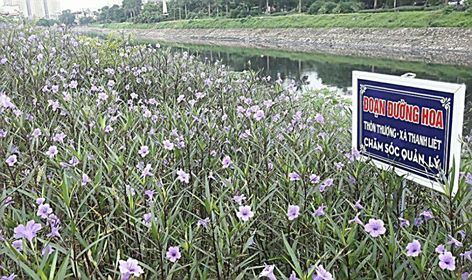 Ủy ban MTTQ Việt Nam huyện Thanh Trì giám sát các đơn vị thực hiện mô hình khu dân cư tự quản bảo vệ môi trường