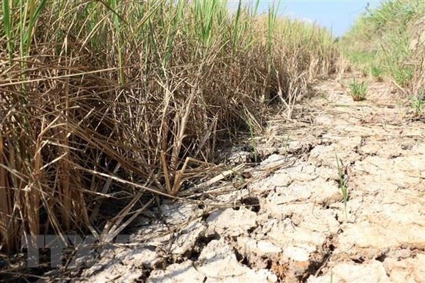Hà Nội: Gửi tặng 2 tỷ đồng hỗ trợ nhân dân tỉnh Bến Tre và Kiên Giang khắc phục hạn mặn