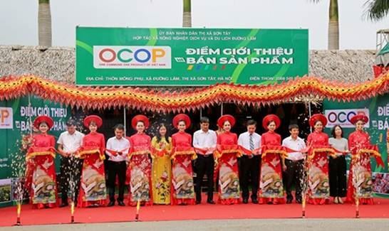 Sơn Tây khai mạc chương trình Tuần hàng Việt và điểm giới thiệu, bán sản phẩm OCOP