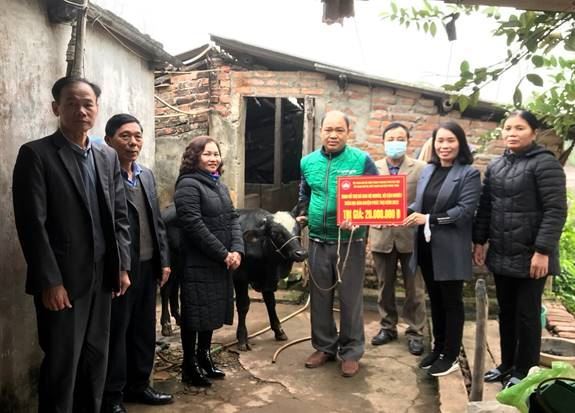 Huyện Phúc Thọ tổ chức trao tặng bò cho các hộ nghèo, cận nghèo  trên địa bàn huyện 