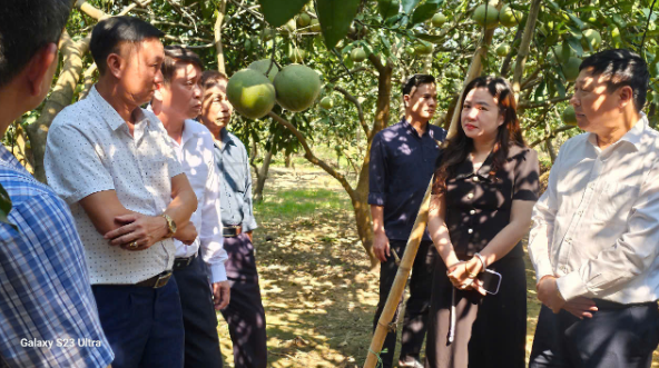 Xã Nội Bài: Đưa Cuộc vận động gắn chặt hơn với phát triển kinh tế địa phương