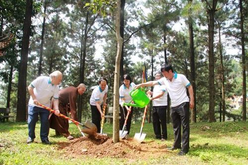 9.6.Các đại biểu tham gia trồng cây xanh, hưởng ứng Tháng hành động vì môi trường