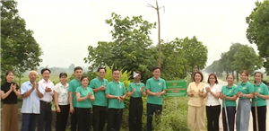 Khơi dậy sức dân để phủ xanh những cung đường